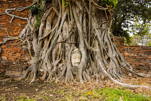 Ayutthaya: Viaggio nell'Antica Capitale del Siam