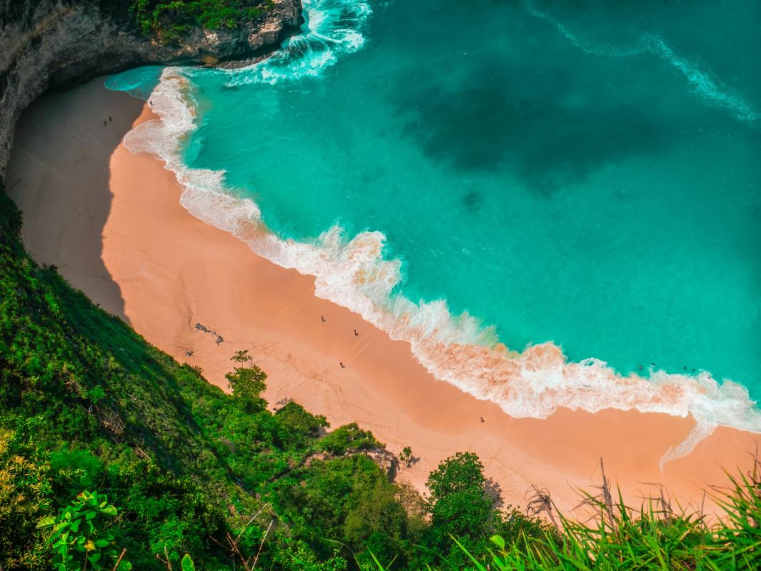 The Bali Experience