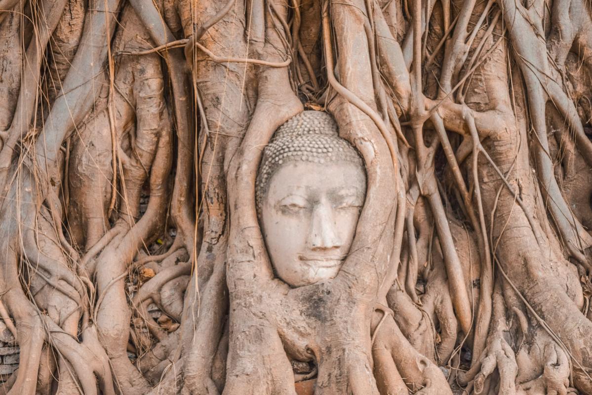  Ayutthaya: Un viaggio nel Patrimonio UNESCO